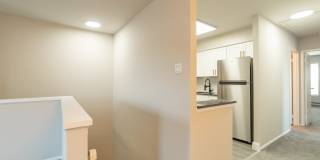 Willow Shores Gallery 24