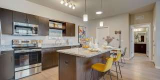 Springs at McKnight Lake Springs at McKnight Lake Gallery 4