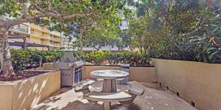 Aloha Towers Gallery 19