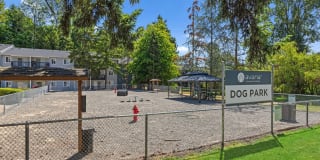 Avana at South Station Gallery 39