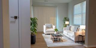 709 Zlotkin Circle Gallery 7