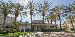 Allure at Camarillo Gallery 21