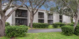 Cadia on the Loop Gallery 11