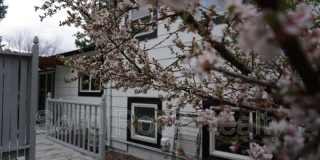 4018 Goldenrod Drive Gallery 19