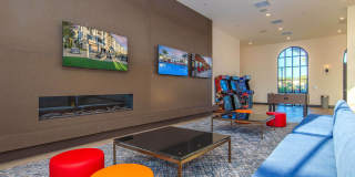 Vineyards Gallery 11