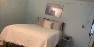 1609 Sydenham Gallery 12