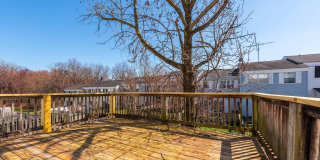 13 BOHN Court Gallery 21