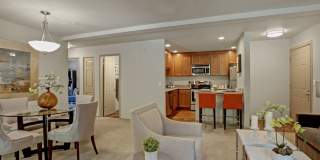 Windsong Apartments Gallery 4