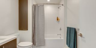 The Merian Gallery 60