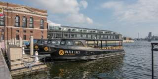 The Crescent at Fells Point Gallery 12