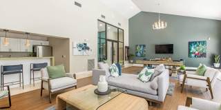 Solana Vista Gallery 4