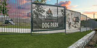 Westloop at the Diamond Interchange Gallery 53