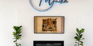 The Monika Gallery 1