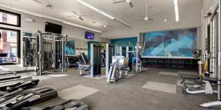 Bridge at Southpark Meadows Gallery 32