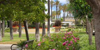 Serenade at Riverpark Gallery 51