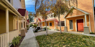 Mission Orchard Gallery 5