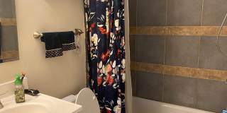 18472 BISHOPSTONE Court Gallery 19