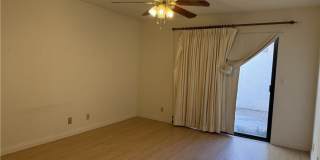 19248 Palm Gallery 4