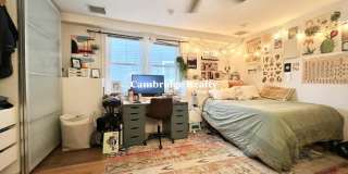 12 Fern St. Gallery 6
