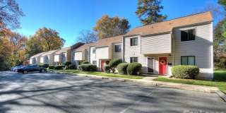 951 Hollywood St #K Gallery 4
