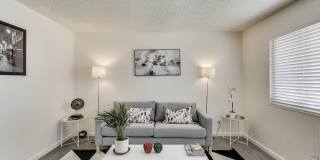 Magnolia Terrace Gallery 12