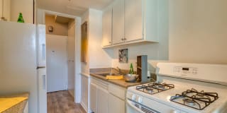 The Lafayette Gallery 16