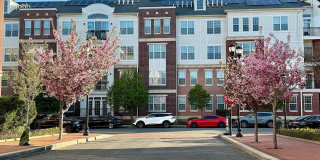 Harbor Pointe Gallery 55