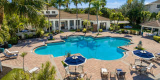 Lexington Palms at the Forum Gallery 25