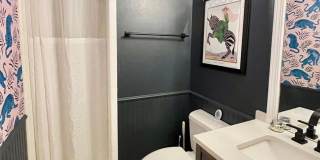 29608 TERRA VIS Gallery 15