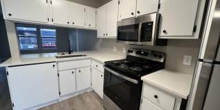 Iconic at Windsor Gallery 1