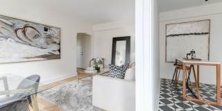 The Dahlia Gallery 7