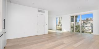 The Samson Gallery 123