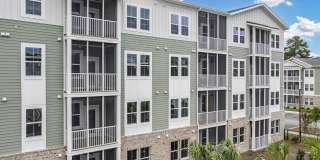 Waterleaf at Salt Creek Gallery 21