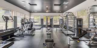 Mountain Trail Gallery 18