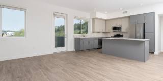 Ocean Creek Gallery 5