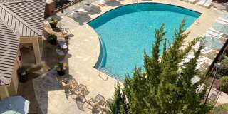 The Arboretum Apartments Gallery 43