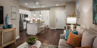 San Artes by Mark-Taylor Gallery 6