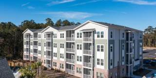 Waterleaf at Salt Creek Gallery 39