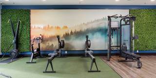 Vintage Stonetrace Gallery 12