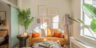 Modera River Trail Gallery 4