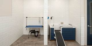 The Lights at Northwinds Gallery 15