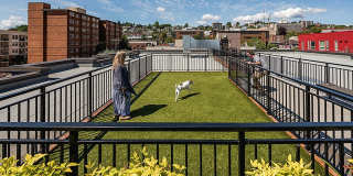 Latitude Latitude Gallery 13