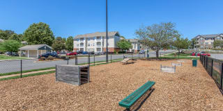 Bradford Park Gallery 21