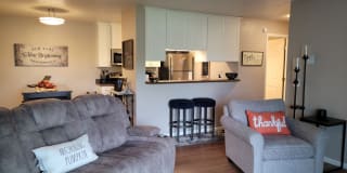 Prairie Tree Gallery 15