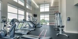 Republic at Alamo Heights Republic at Alamo Heights Gallery 11