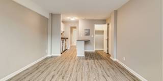 The Palisades Gallery 8
