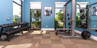 The Strand Gallery 27