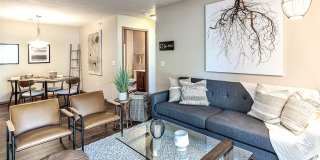 Tiburon View Gallery 2