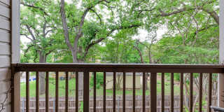 3102 Cedar Gallery 26