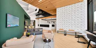 Triangle Square Gallery 31